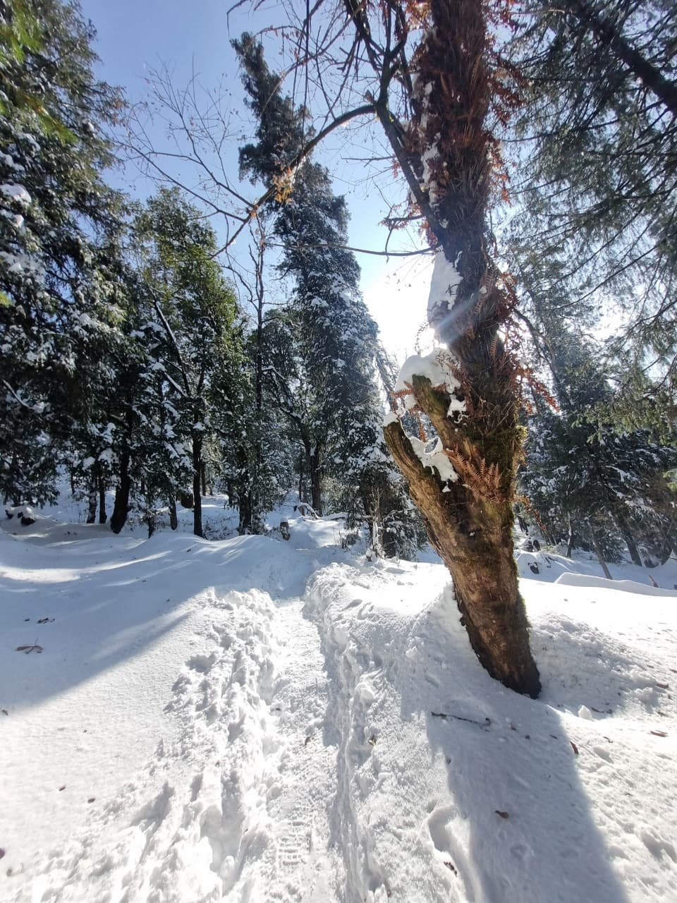 Kedarkantha Trek — IMG 1681.JPG