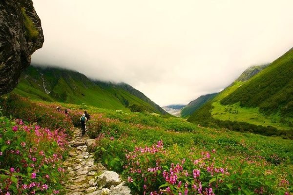 Valley of Flowers Trek with Hemkund Sahib — Valley of flowers4 qh6iyss4zt6eyxm2pr7qm1q4yq7jntesbqbx9rgjhc